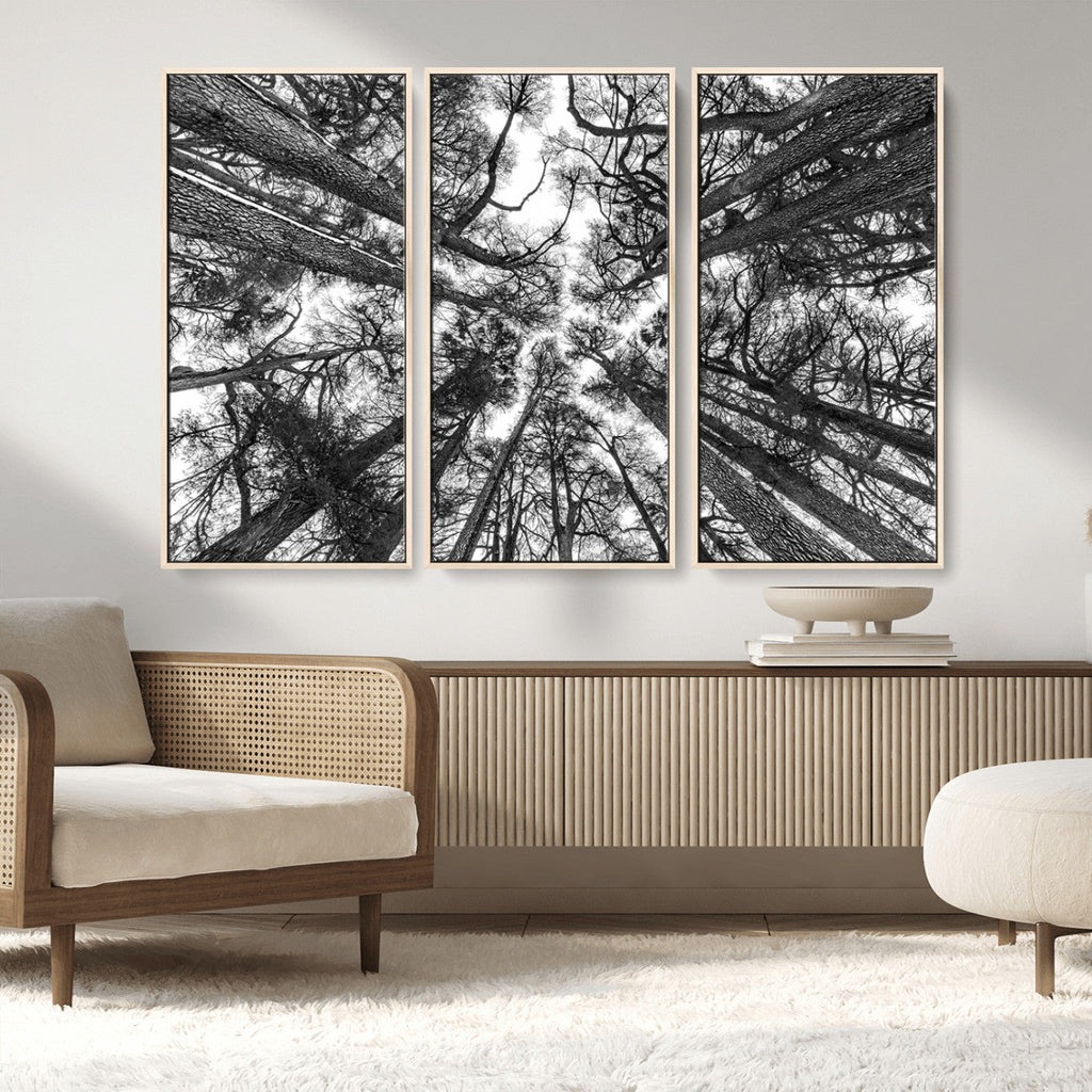 Trees Contemporary Art Canvas Print