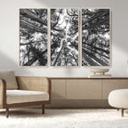 Trees Contemporary Art Canvas Print