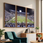 Brigham Young University Cougars Football Print Canvas