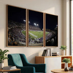 TCU Horned Frogs Football Team Print, Fort Worth Amon G. Carter Stadium