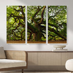 Angel Oak Tree Wall Art Canvas Print | Forest Tree Nature Photography Print