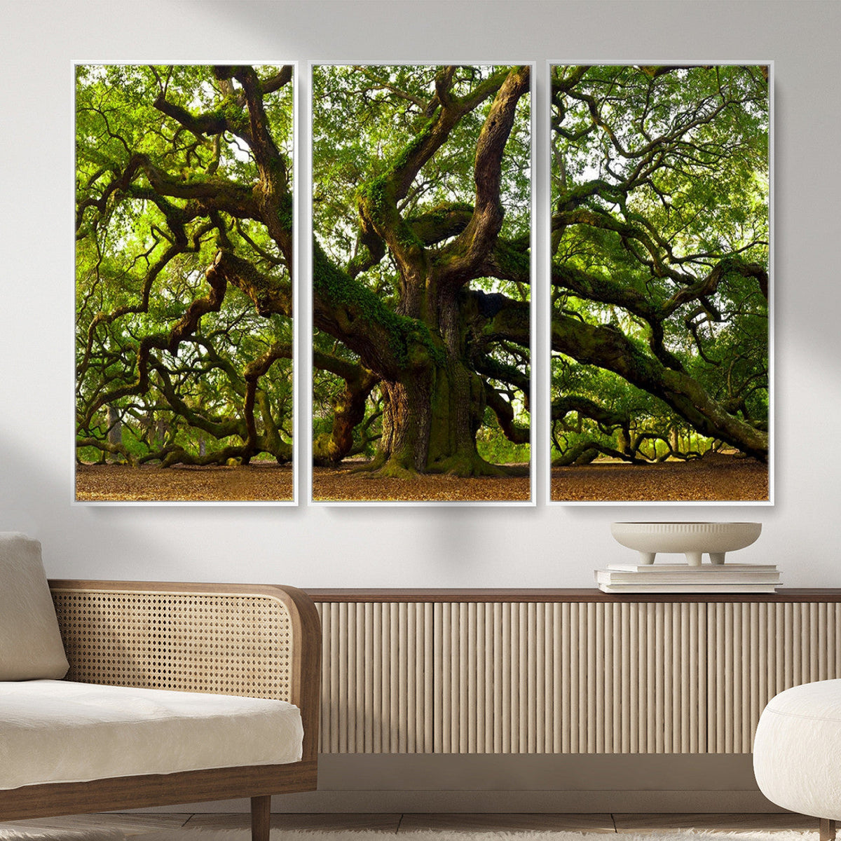 Angel Oak Tree Wall Art Canvas Print | Forest Tree Nature Photography Print