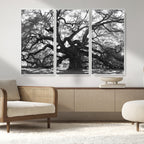 Ancient Oak Wall Art Canvas Print | Gnarled Tree with Twisted Branches