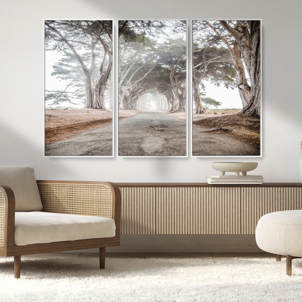 Cypress Tunnel Wall Art | Framed Misty Road Canvas Artwork