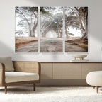 Cypress Tunnel Wall Art | Framed Misty Road Canvas Artwork