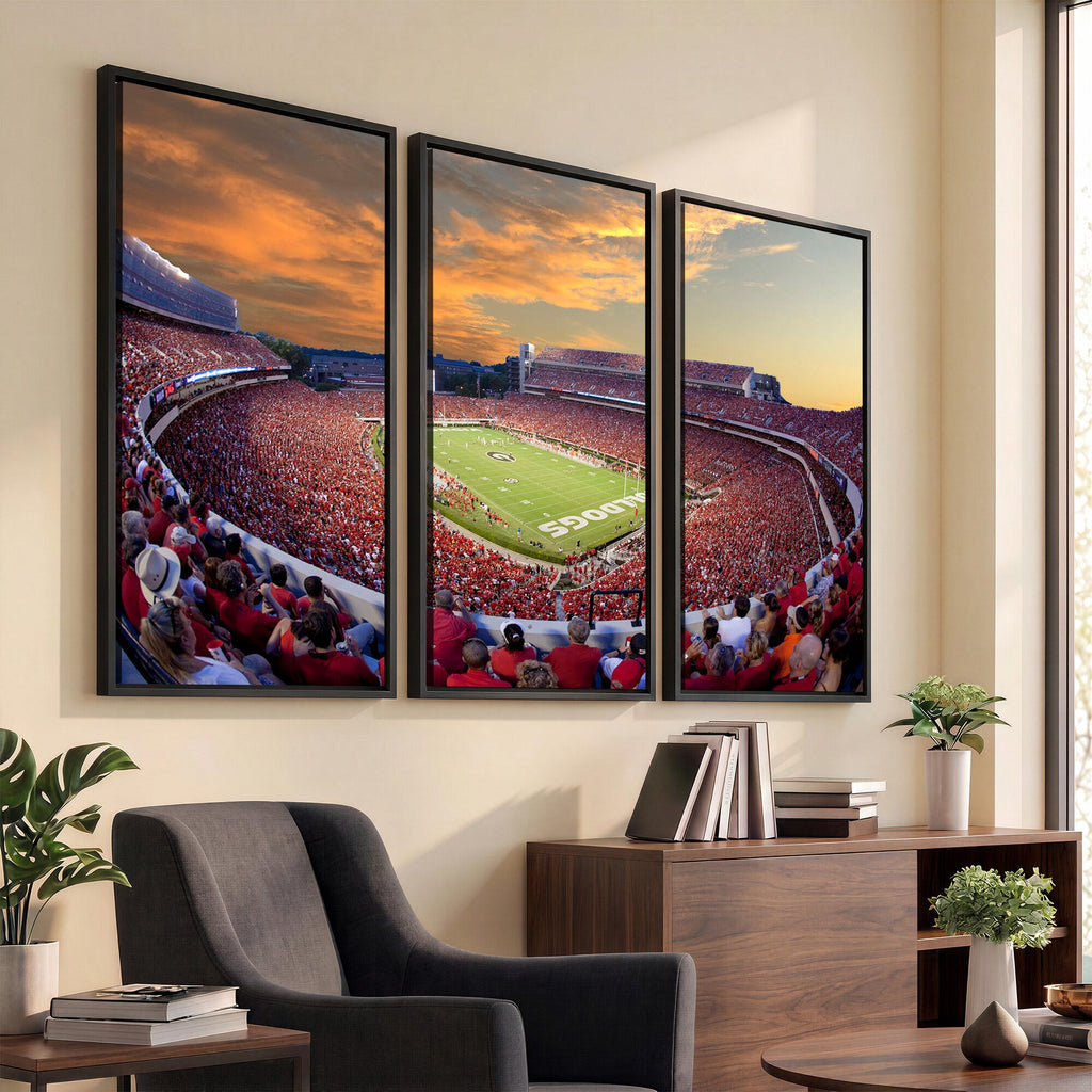 Dooley Stadium Wall Art, Sports Arena Canvas Print, Dooley Field, Framed and Ready to Hang