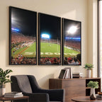 Dooley Stadium Wall Art, Sports Arena Panoramic Canvas
