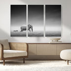Elephant and Zebra Wall Art Canvas Print, Modern Artwork