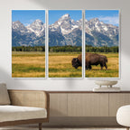 Bison in Mountain Landscape Wall Art Canvas Print, Western Decor