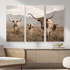 Rustic Texas Longhorn Cow Canvas Wall Art Print, Farm Animal Photography