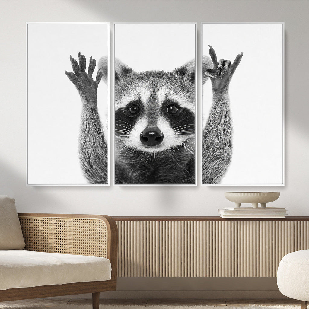 Funny Raccoon Canvas Wall Art, Black White Hands Up Animal Photo Print