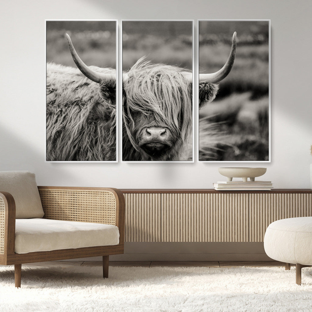 Cow Focus Canvas Wall Art Print