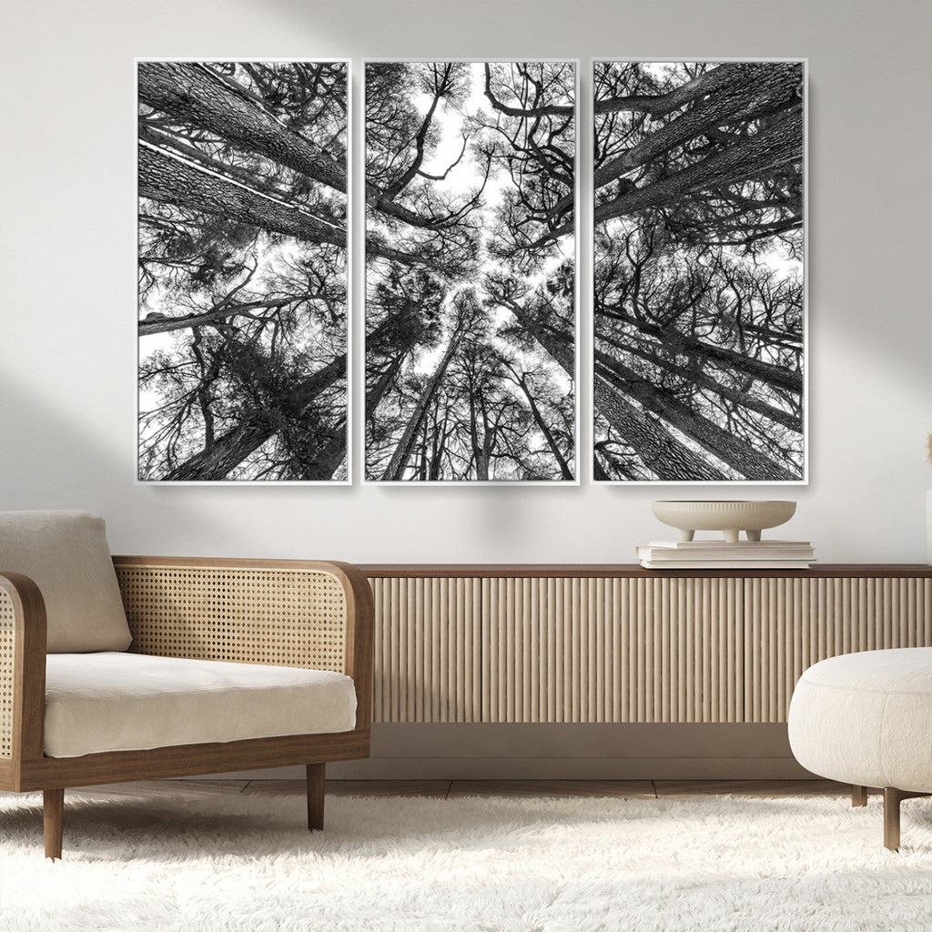 Trees Contemporary Art Canvas Print