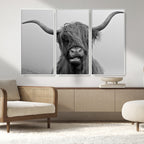 Texas Cow Wall Art Canvas, Texas Longhorn Cattle Canvas Print