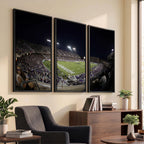 TCU Horned Frogs Football Team Print, Fort Worth Amon G. Carter Stadium