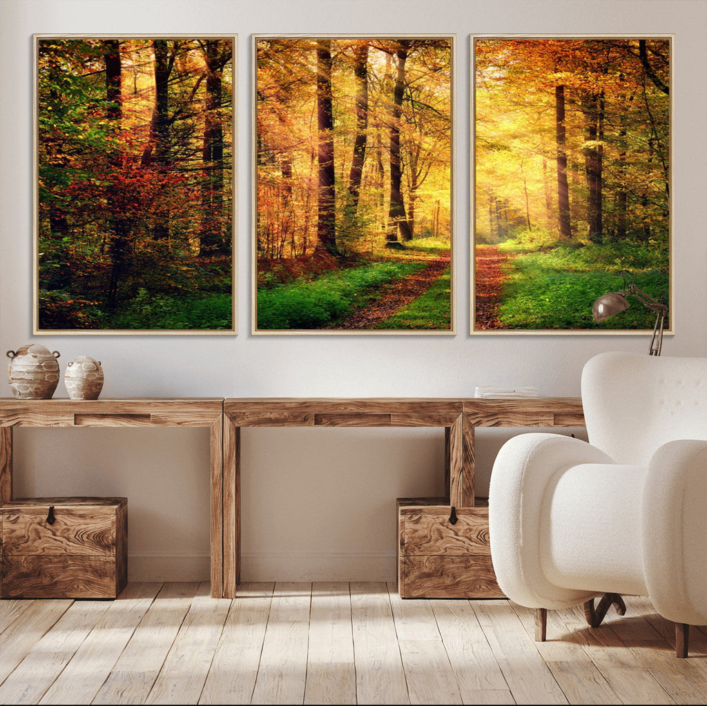 Sunlight Through Trees Wall Art Canvas Print | Autumn Forest Wall Art