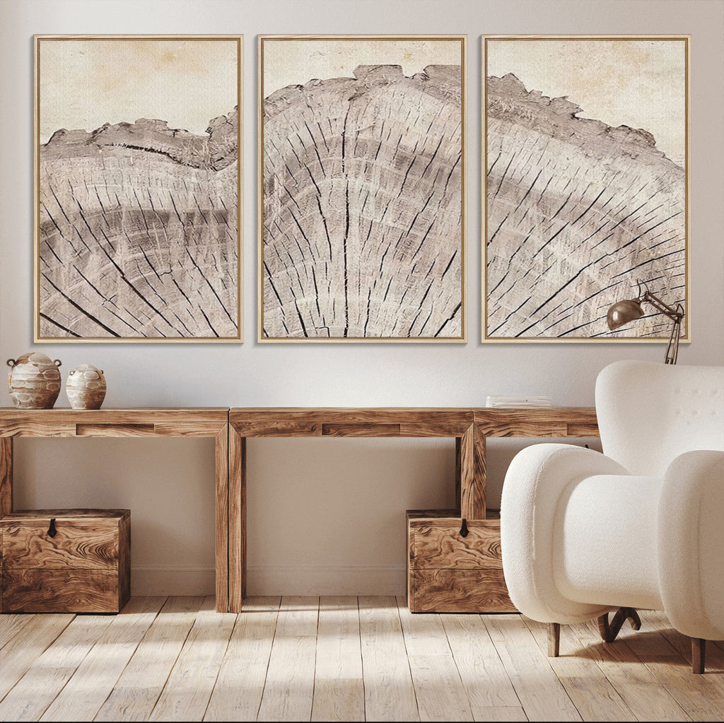 Tree Ring Wall Art Triptych, Rustic Wood Ring Canvas Print
