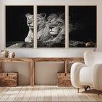 Lion Couple Wall Art Canvas Print, Elegant Black and White Wildlife Portrait