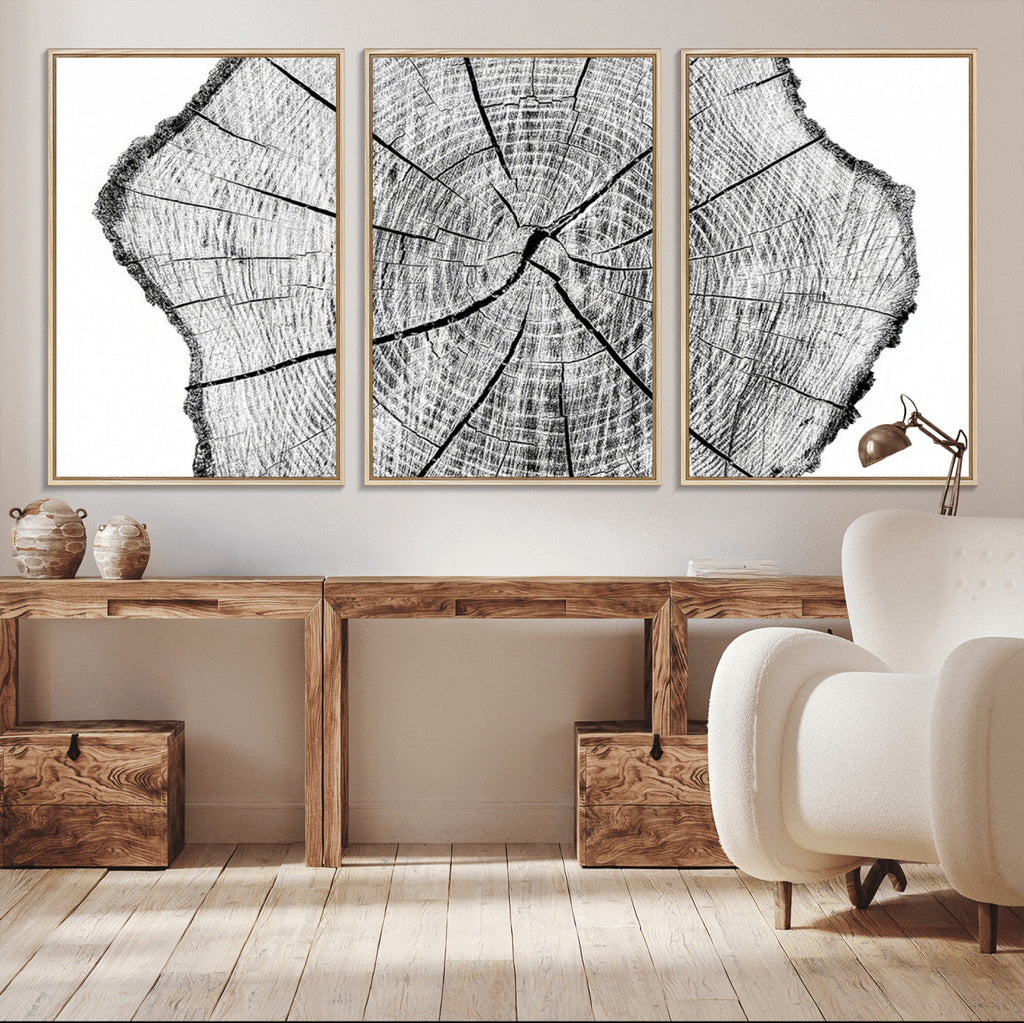 Rustic Tree Ring Wall Art Canvas Print, Framed and Ready to Hang