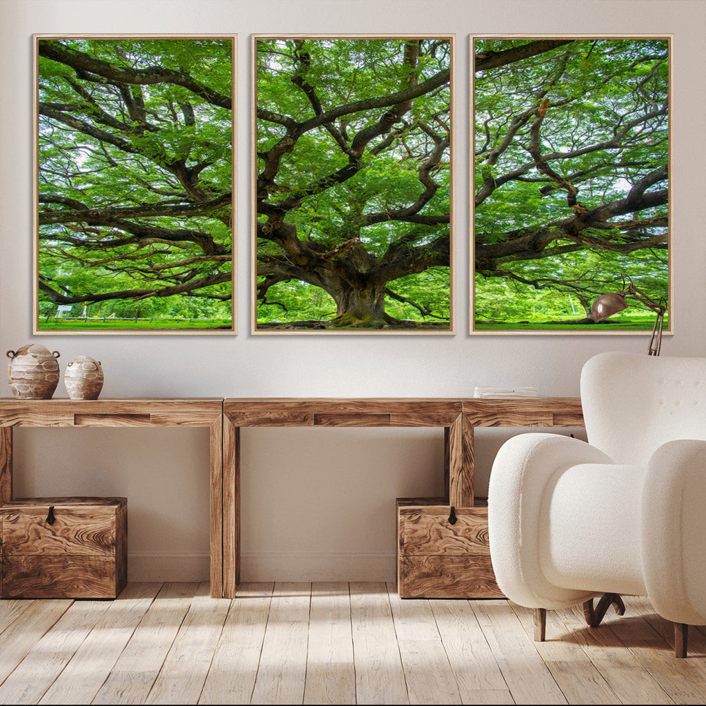 Ancient Tree Wall Art Canvas Print, Framed Sprawling Branches