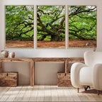 Majestic Oak Tree Wall Art Canvas Print | Ancient Branches
