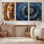 Framed Abstract Tree Ring Wall Art Print, Natural Rustic Wood Grain Canvas Print