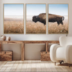 Wild Bison Wall Art | Framed Prairie Landscape Canvas