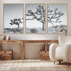 Joshua Tree Wall Art Canvas Print, Framed Black and White Desert Landscape Artwork