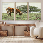 Texas Longhorn Wall Art Canvas Print, Rustic Western Ranch