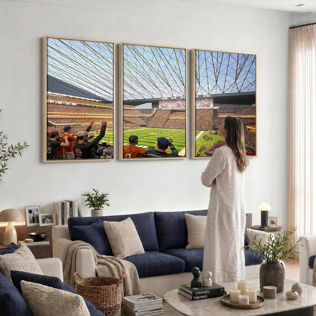 Cleveland Browns Stadium Wall Art Canvas Print