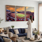 Dooley Stadium Wall Art, Sports Arena Canvas Print, Dooley Field, Framed and Ready to Hang