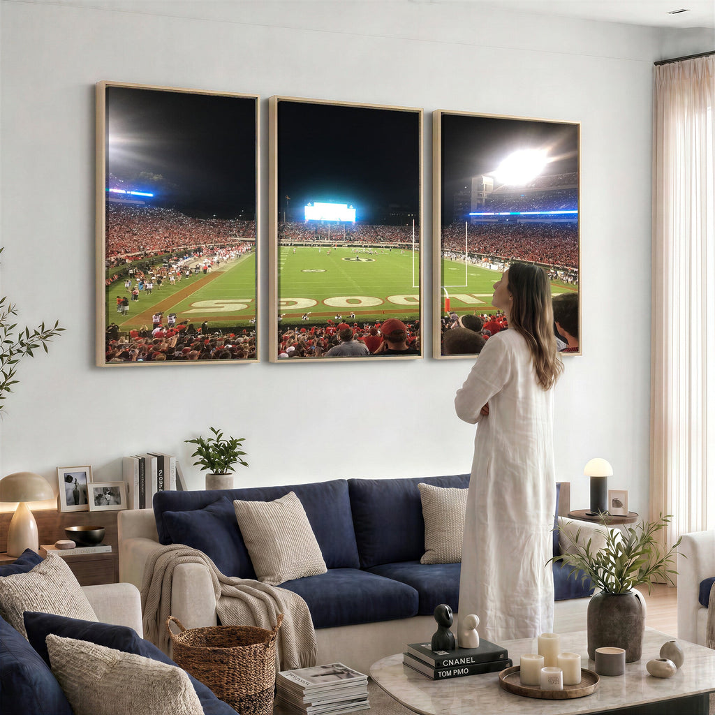 Dooley Stadium Wall Art, Sports Arena Panoramic Canvas