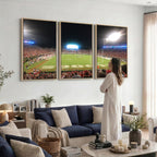 Dooley Stadium Wall Art, Sports Arena Panoramic Canvas