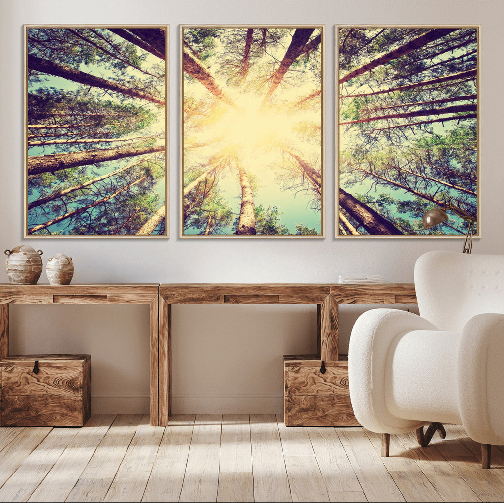 Tree and Sunshine Canvas Print