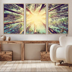 Tree and Sunshine Canvas Print