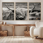 Cow Focus Canvas Wall Art Print