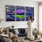 FC Porto Soccer Team Print Canvas, Dragon Stadium Wall Art