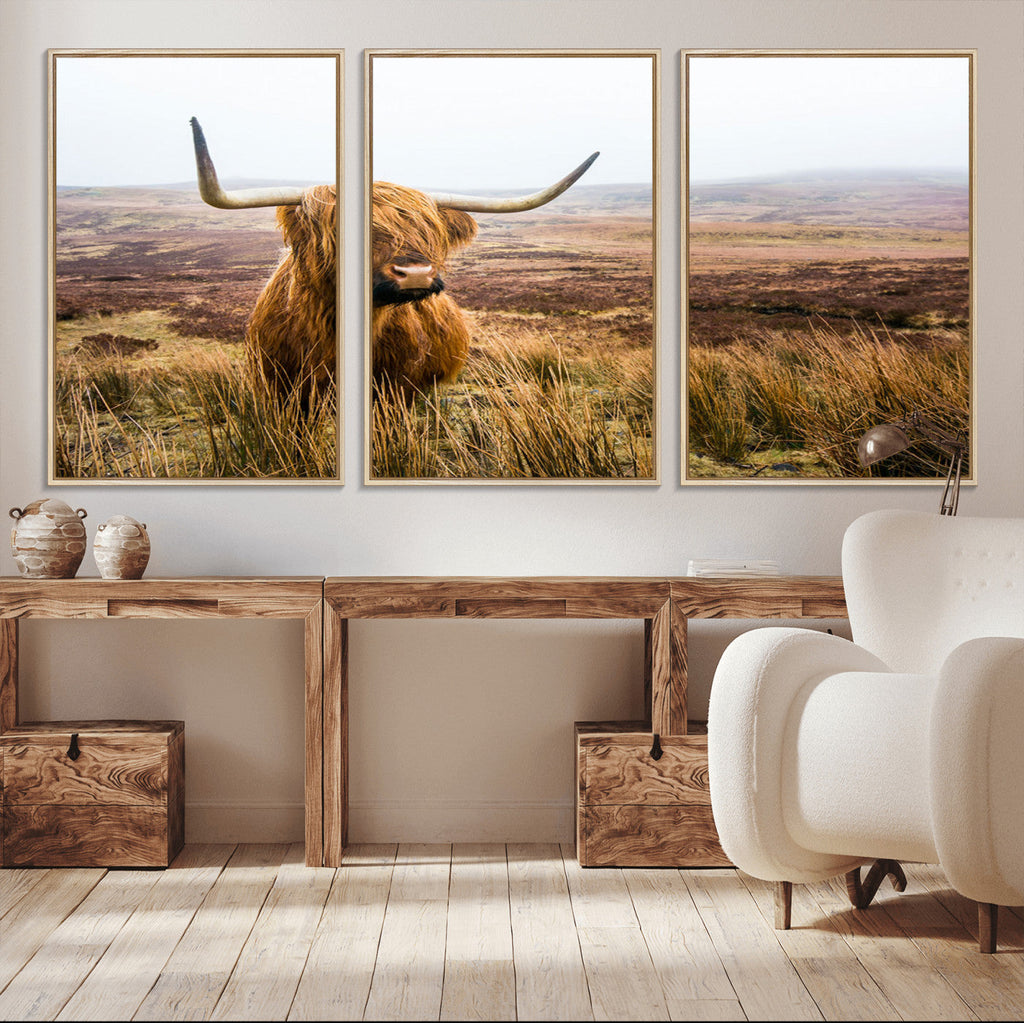 Scottish Highland Cow Canvas Wall Art, Rustic Farmhouse Decor