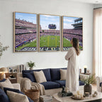 TCU Horned Frogs Football Team Print, Fort Worth Amon G. Carter Stadium, Framed and Ready to Hang