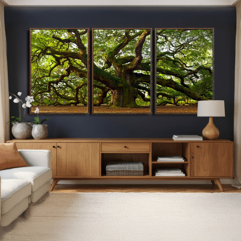 Angel Oak Tree Wall Art Canvas Print | Forest Tree Nature Photography Print