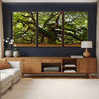 Angel Oak Tree Wall Art Canvas Print | Forest Tree Nature Photography Print