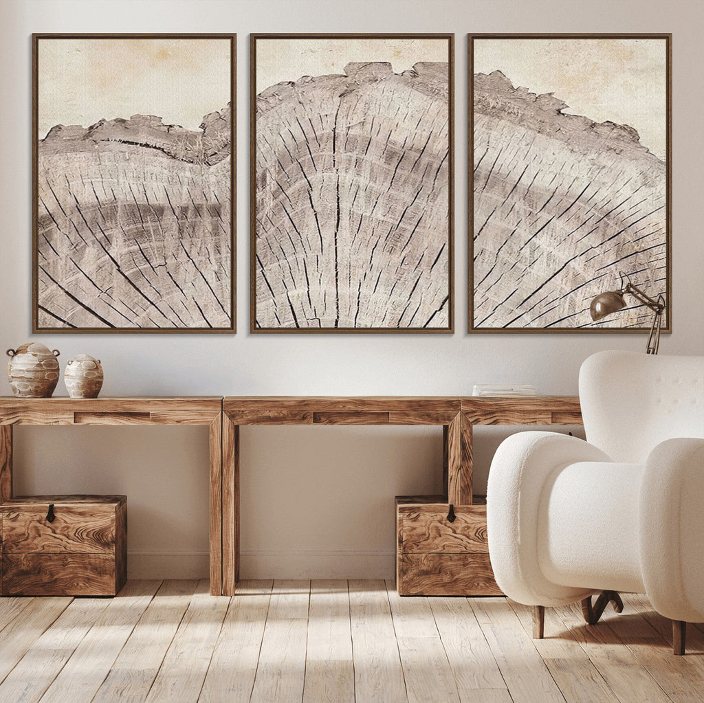 Tree Ring Wall Art Triptych, Rustic Wood Ring Canvas Print