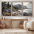 Serene Coastal View of Acadia National Park