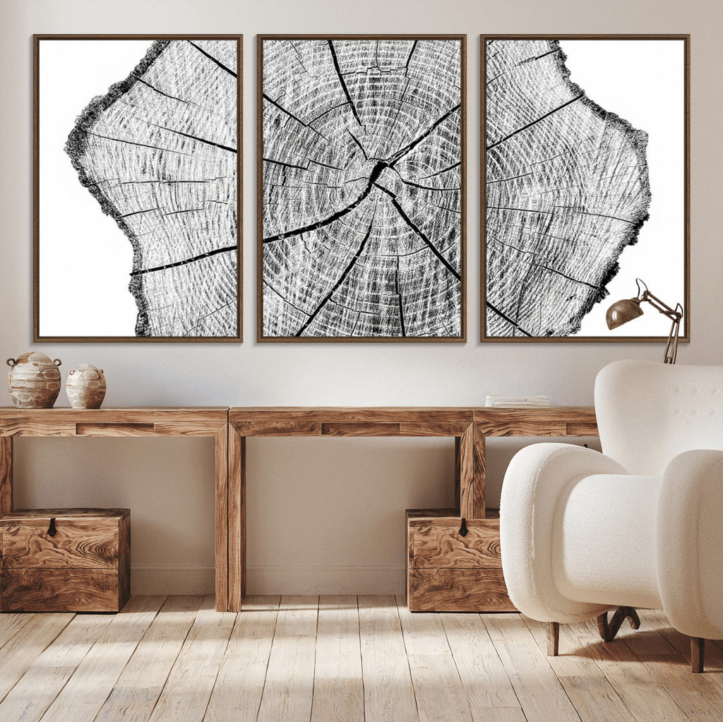 Rustic Tree Ring Wall Art Canvas Print, Framed and Ready to Hang