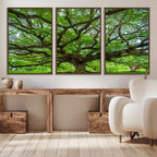 Ancient Tree Wall Art Canvas Print, Framed Sprawling Branches