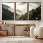 Misty Valley Wall Art Canvas Print | Foggy Forest and Pine Trees