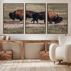 Bison Wall Art Canvas Print, Framed Western Wildlife Modern Ranch