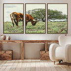 Texas Longhorn Wall Art Canvas Print, Rustic Western Ranch