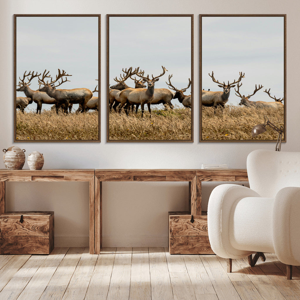 Elk Herd Wall Art Canvas Print, Framed Wildlife Photography Art, Majestic Antlers Rustic Wildlife Decor