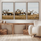 Elk Herd Wall Art Canvas Print, Framed Wildlife Photography Art, Majestic Antlers Rustic Wildlife Decor